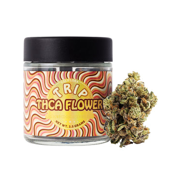 THCa Indoor Flower – Lemon Cherry Gelato