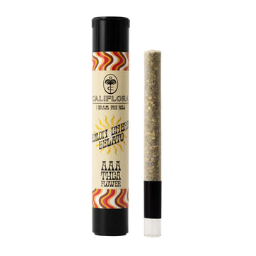 Premium Glass Tip Preroll (1 gram) – Strain: Lemon Cherry Gelato