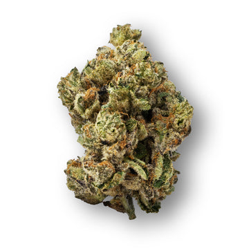 THCa Indoor Flower – Lemon Cherry Gelato