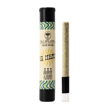 Premium preroll with glass tip (1 gram) – Strain: Ya Hemi